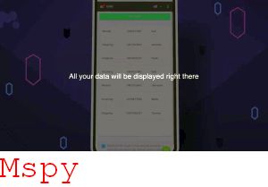 Mspy Team